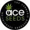 ace-seeds-567x238