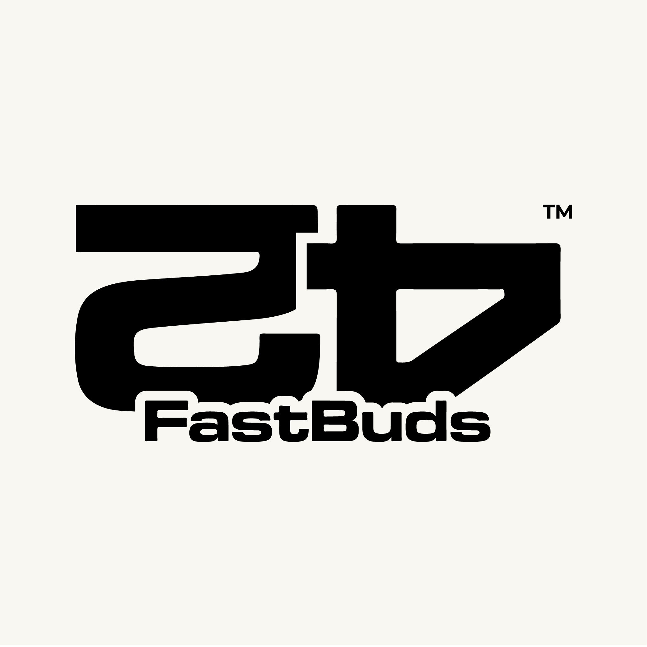 fastbudsNEW