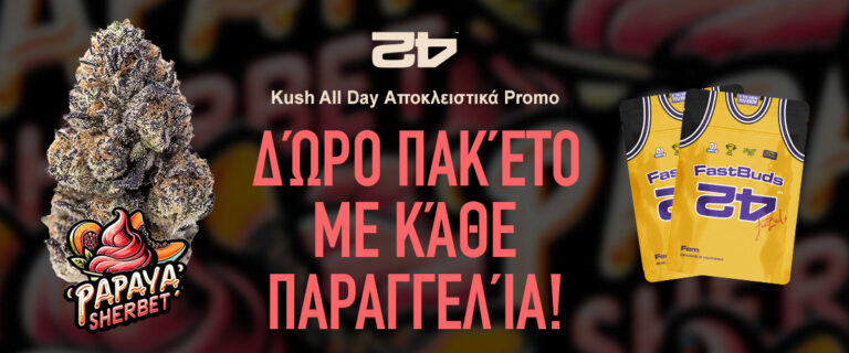 Cannabis Store Kush All Day